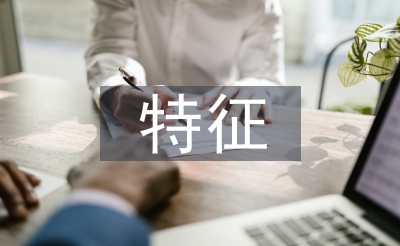 企业笼统的特点