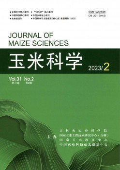 玉米迷信杂志