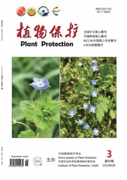 动物掩护杂志