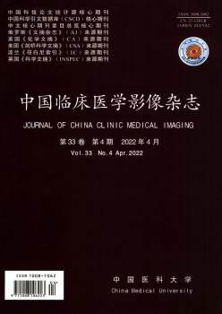 中国临床医学影象杂志