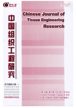 中国构造工程研讨与临床病愈杂志