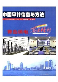 中国审计信息与体例杂志